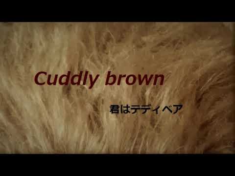 Cuddly Brown... 君はテディベア