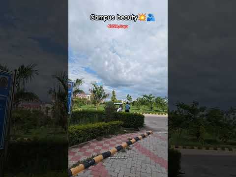 Campus Beauty Of Central University Of South Bihar Gaya 365dayschallenge Day201 Gaya Cusb Life