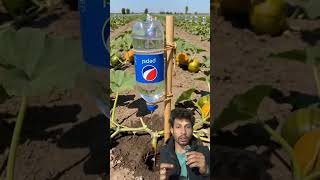 Kheti pati ma pani charne sajilo tarika #agriculture #farming #satisfying #shortfeed #shorts