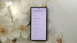how to check samsung android version s25 ultra screenshot 4