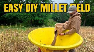 DIY Dove Hunting Field | Millet Sowing from Start to Finish
