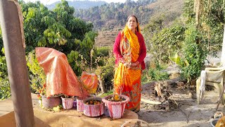 कल को अमावस्या तिथि देवपित्र तपंण।     दिनचर्या गांव पहाड़ उत्तराखंड से 