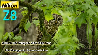 Nikon Z8 with the Nikon 500mm PF f/5.6e Lens for Bird Photography Recommendations