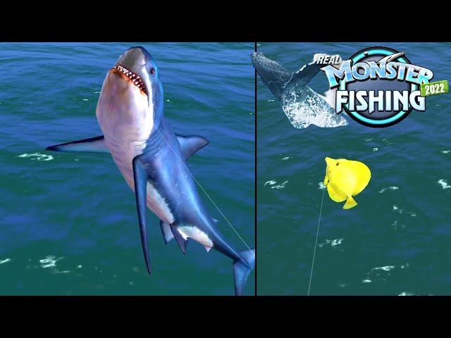 Catching Young MEGALODON!!!!, Vietnam, Monster Fishing 2022 Gameplay