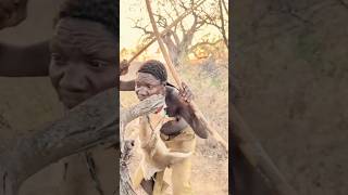 ,#Chaaba is an amazing hunter. 🎯🌿🔥#