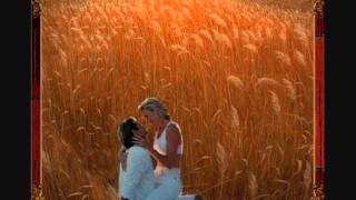 STING FIELDS OF GOLD.