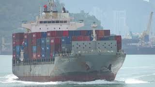 Container Ship《STARSHIP TAURUS》Passing  the Tsing Ma Bridge in HK 20261002_C0014