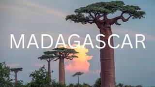 African Travel Concept | Madagascar screenshot 1