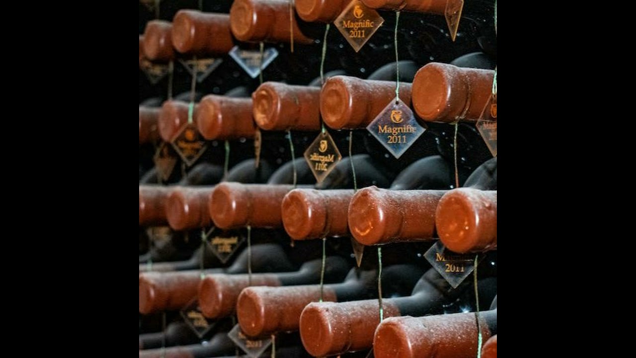 Episode 244-Wine Scores