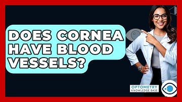Does Cornea Have Blood Vessels? - Optometry Knowledge Base