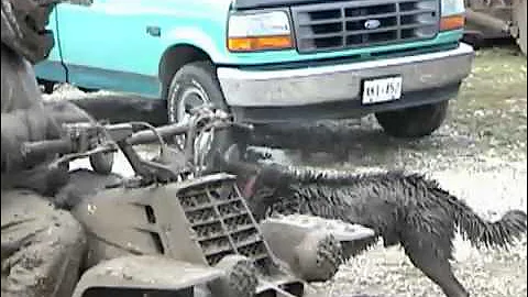 Davidsfarm   0621   VZF660NkNwo   HQ   extreme offroad mayhem at daves farm, ALL ACTION!