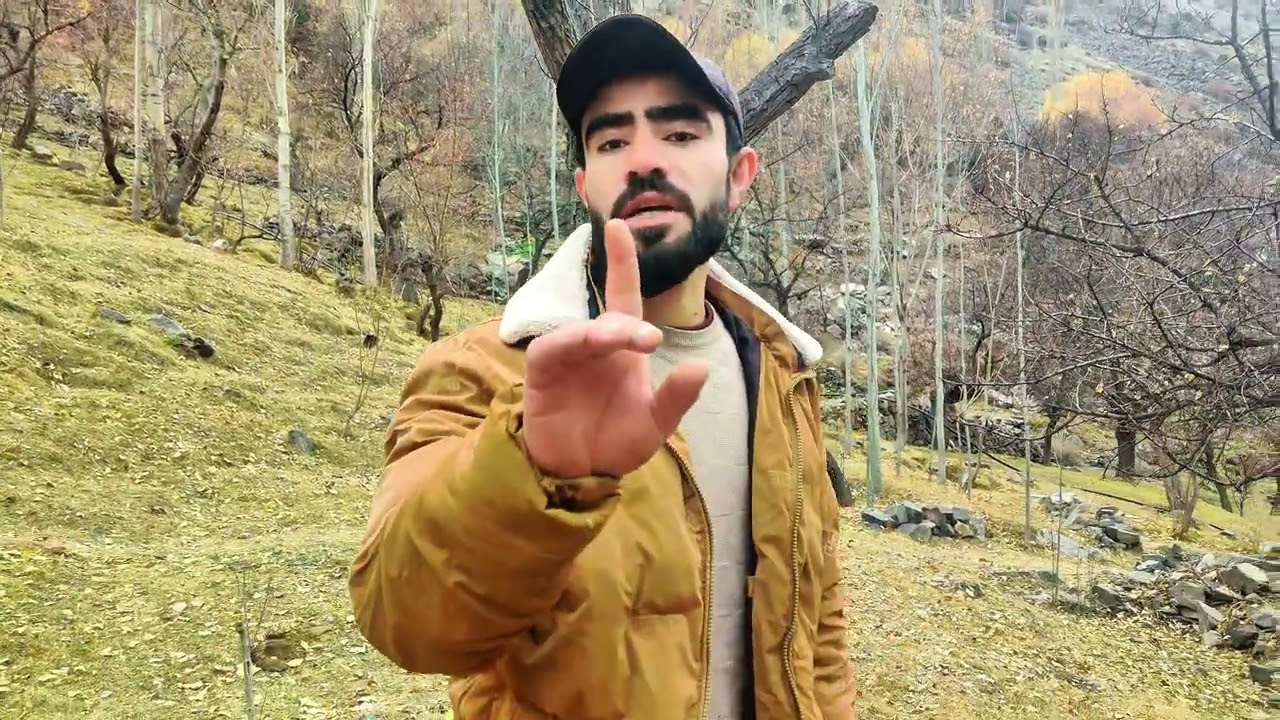 /GOAT Funny Moments: /Hilarious Goat Fails & Screams You Can't Miss/