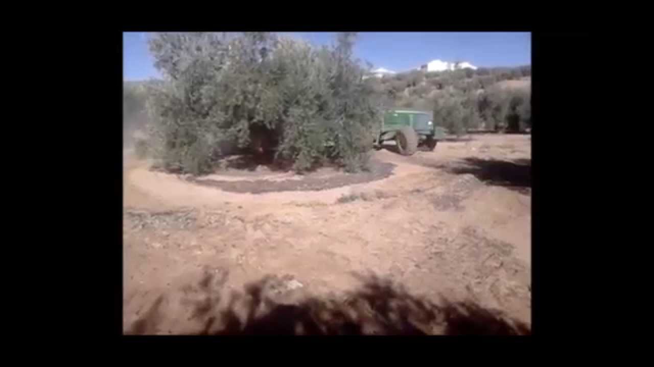 Barredora multifunción para aceituna y frutos secos - Marca Checa