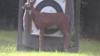 Bowtech Admiral