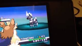 Pokemon White/Black how to catch a Blitzle