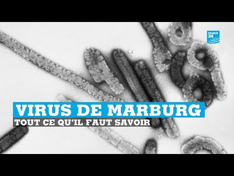 Vidéo: Comment reconnaître les symptômes de la fièvre hémorragique de Marburg : 13 étapes