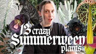 13 Spooky & Gothic Plants For Summerween 🎃 You Can Actually Grow Some Of These!!