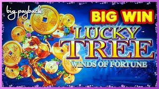 WHAT WAS THAT?! Lucky Tree Winds of Fortune Slot - MAX BET BONUSES! screenshot 5