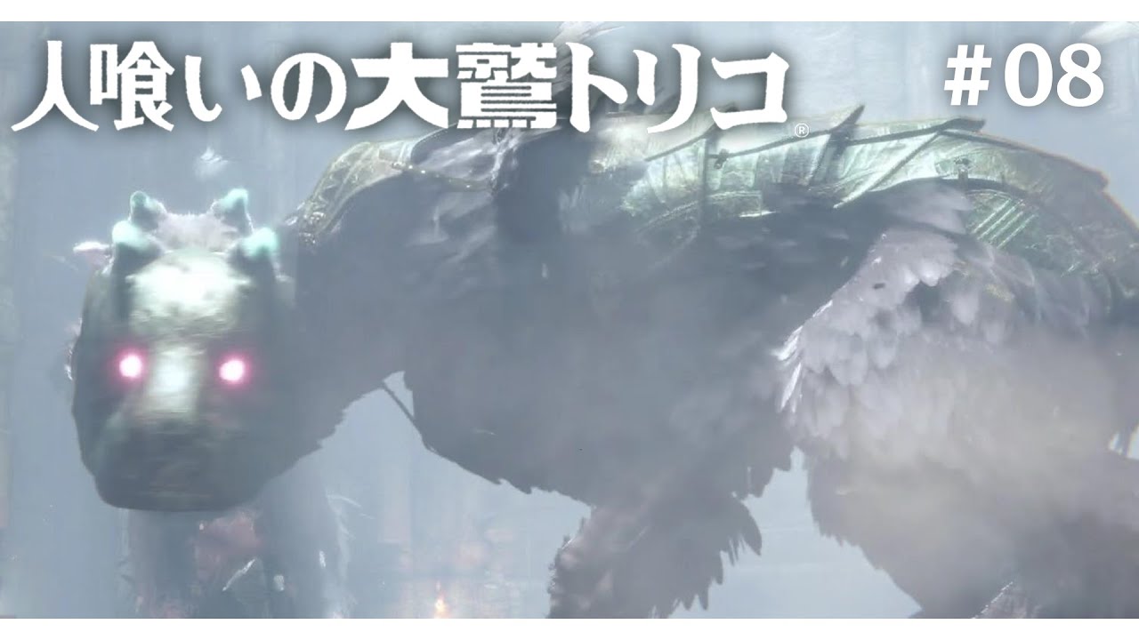 トリコvsトリコ【人喰いの大鷲トリコ】#08