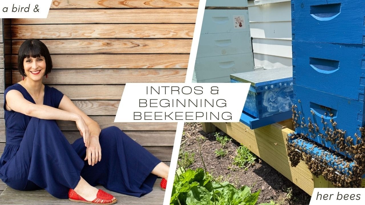 How I got started beekeeping - YouTube