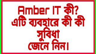Amber IT App Review | screenshot 4