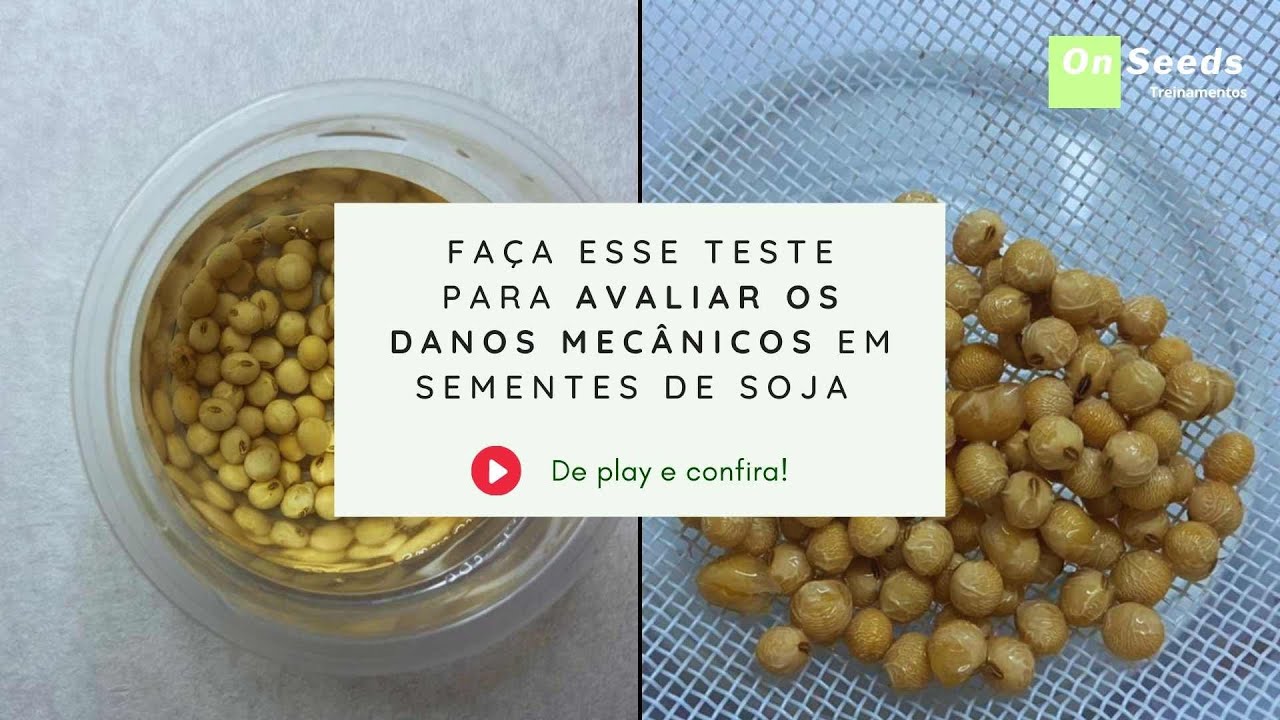 FAÇA ESSE TESTE PARA AVALIAR OS DANOS MECÂNICOS EM SEMENTES DE SOJA