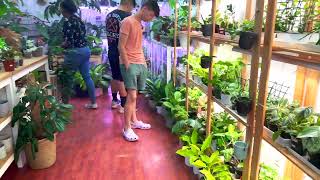 Plant Shop in San Jose CA