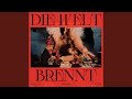 Die Welt Brennt