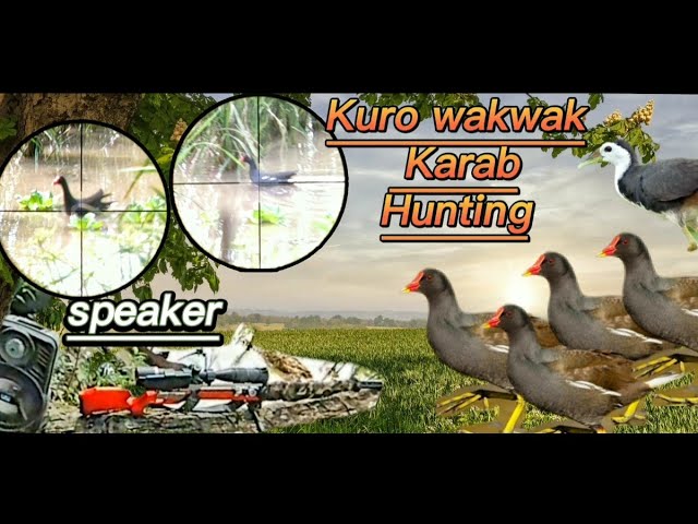 kurowakwak and karab hunting | Bluetooth speaker Super effective 😲😁 @Pawiks hunter class=