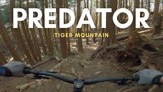 Predator preyed on me - tough run down this double black MTB trail at Tiger MTN in Washington