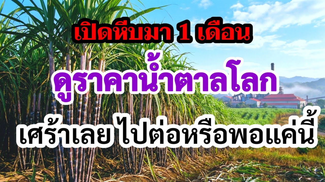 สถานการณ์น้ำตาลโลก แบบนี้เตรียมตัววางแผนบริหารจัดการรับมือปีหน้า ส่องปัจจัย 10 ข้อ?