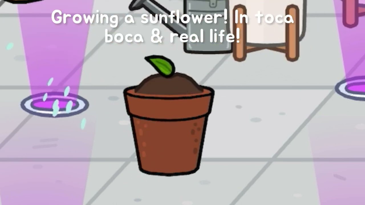 Growing a sunflower in toca boca & in real life! YouTube