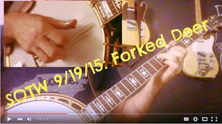 "Forked Deer" Banjo Lesson chords