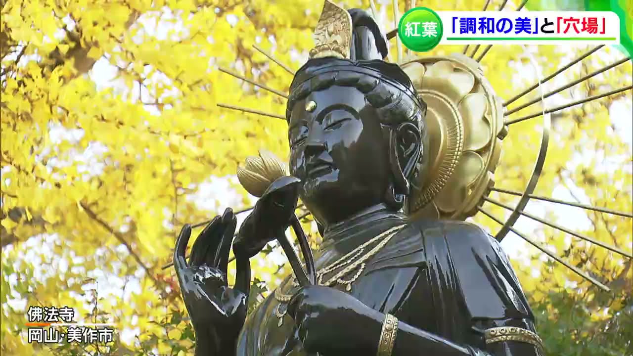 紅葉が素敵な観光名所をご紹介、秋の紅葉狩りなら温泉街すぐ