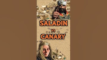 Saladin vs Canary | Stronghold Crusader: DE #strongholdcrusader #gameplay #rts #fireflystudios