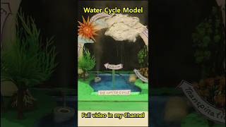 This REAL Water Cycle Working Model | Science Project #scienceproject #diy #shorts #watercycle