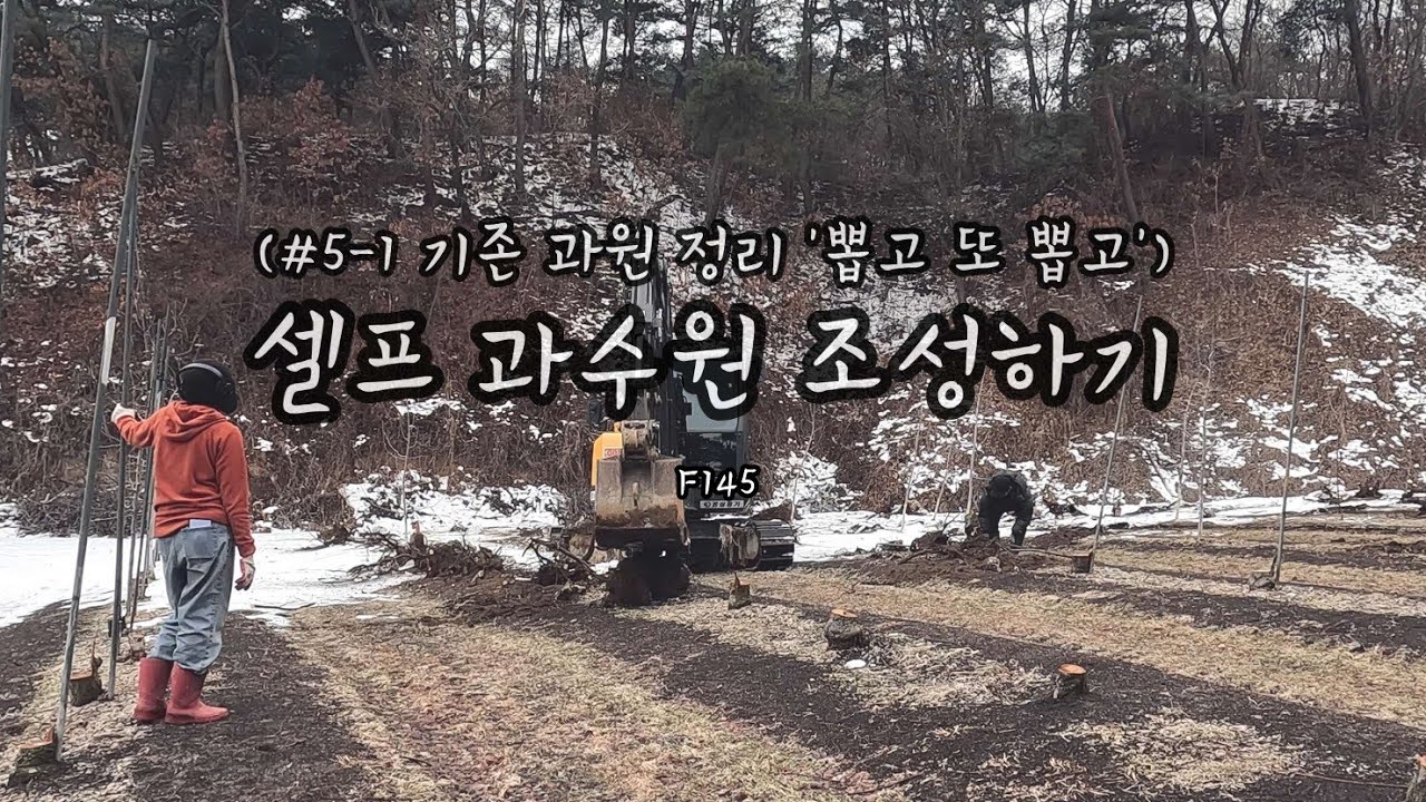 ф셀프로 사과밭 만들기[5-1]🍎🌳ㅣF145ㅣ사과밭 갱신작업,주변 정리편