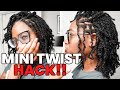 MINI TWIST on Natural Hair using SPRING TWIST for Fuller Natural Looking PROTECTIVE STYLE