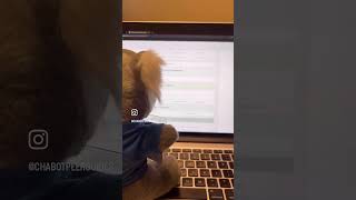 Chabot College Peer Guide Henry Video 2:  How to Upload Official Transcripts by