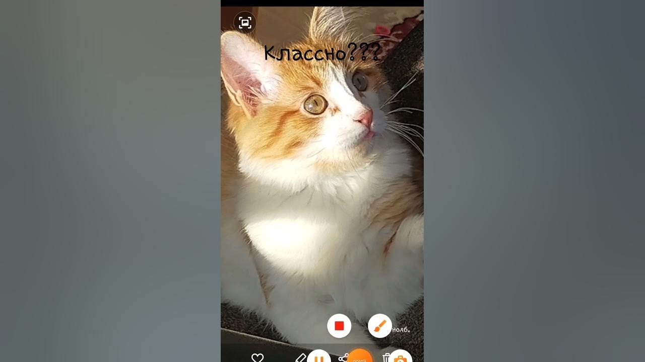 классно??? - YouTube