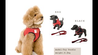 【帝塚山ハウンドカム】ウェアハーネスの着せ方