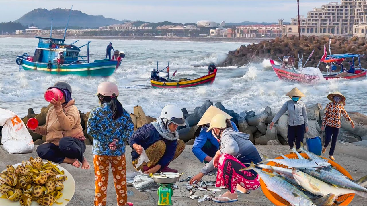 Sóng Lớn Hồi Hộp Ghe Thuyền Mang Hải Sản Vào Cửa Bình Châu Bà Rịa Vũng Tàu║Rẻ Ngon Ốc Hương Hấp Xã