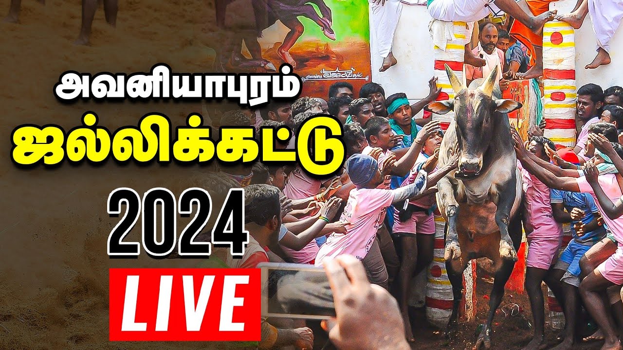 🔴அவனியாபுரம் ஜல்லிக்கட்டு நேரலை | Jallikattu Live 2024 | Avaniyapuram