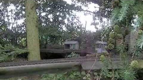 Scratch built 7/8"s railbus