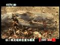 地理中国 地理中国 2011年 第50期 硅化木传奇