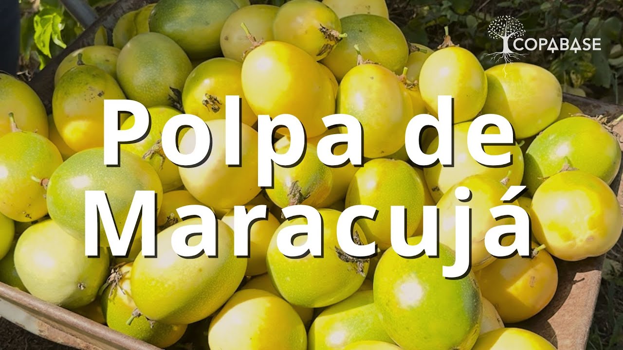 Produção da Polpa de Maracujá
