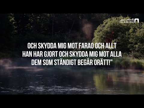 Surah At-Tahrim (8-12) - Saad Al-Utaybi