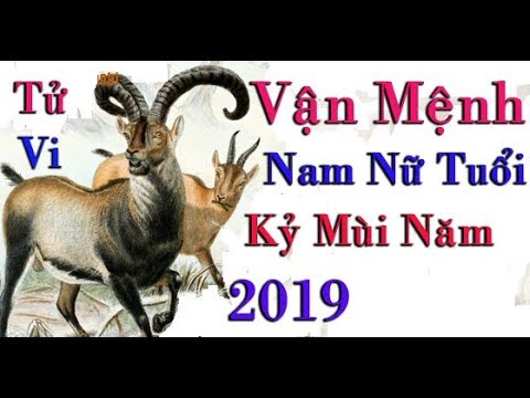 Video Vận Hạn Của Tuổi Kỷ Mùi 1979 Nam Và Nữ Mạng Năm 2019 - youtube