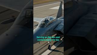 McDonnell Douglas F-15D Eagle delivers full Mach two point five air superiority capabilities!