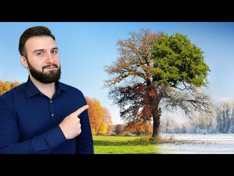 რომელ სეზონზეა საჭირო ვიტამინების მიღება?